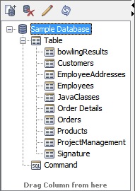 Database Browser